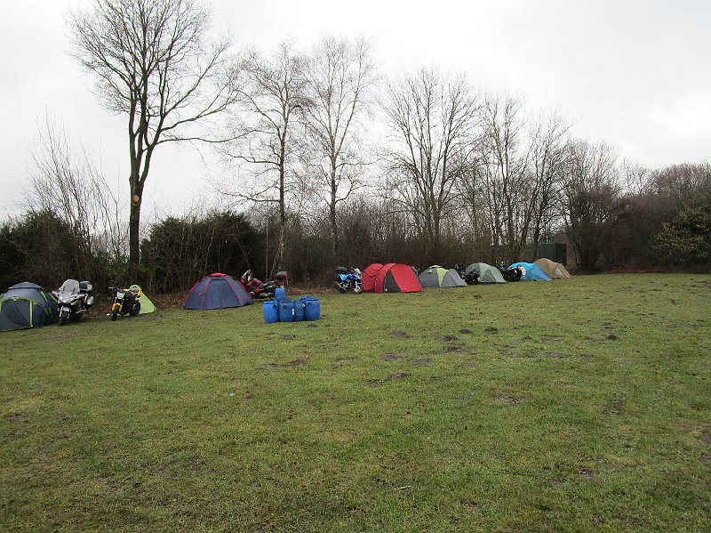 2018.03.16 Grizzly (106).JPG